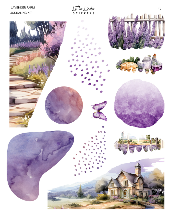 Lavender Farm | 17 - 18