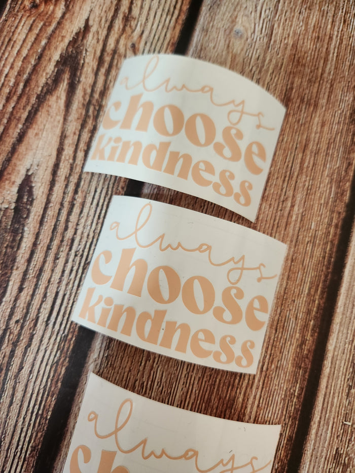 Alwayd Choose Kindness | Vinyl