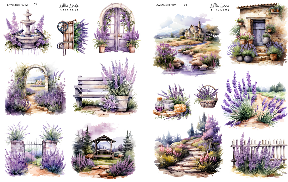 Lavender Farm | 03 - 04