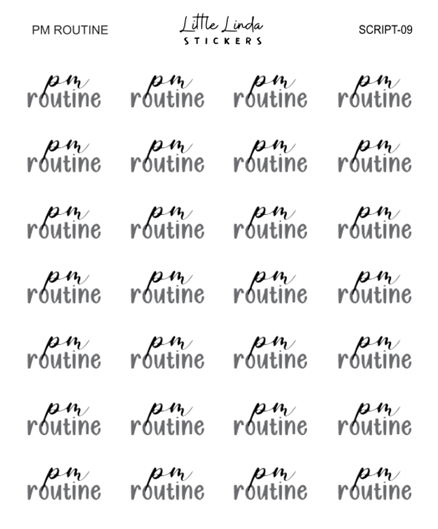 PM Routine | SCRIPT