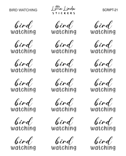 Bird watching | SCRIPT