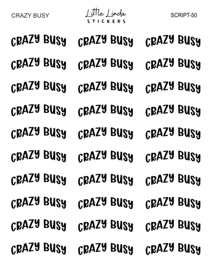 Crazy Busy | SCRIPT