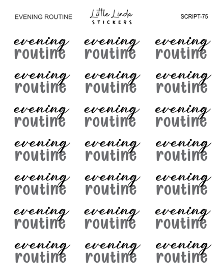 Evening Routine | SCRIPT