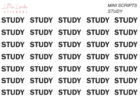 Study - Mini